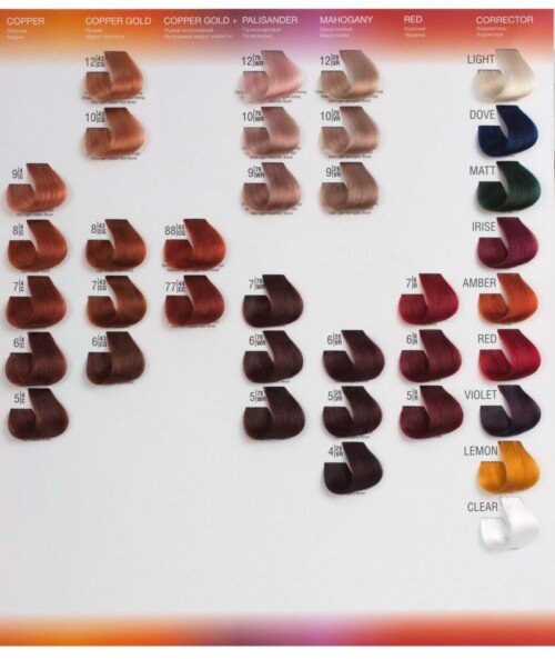 catalog-4